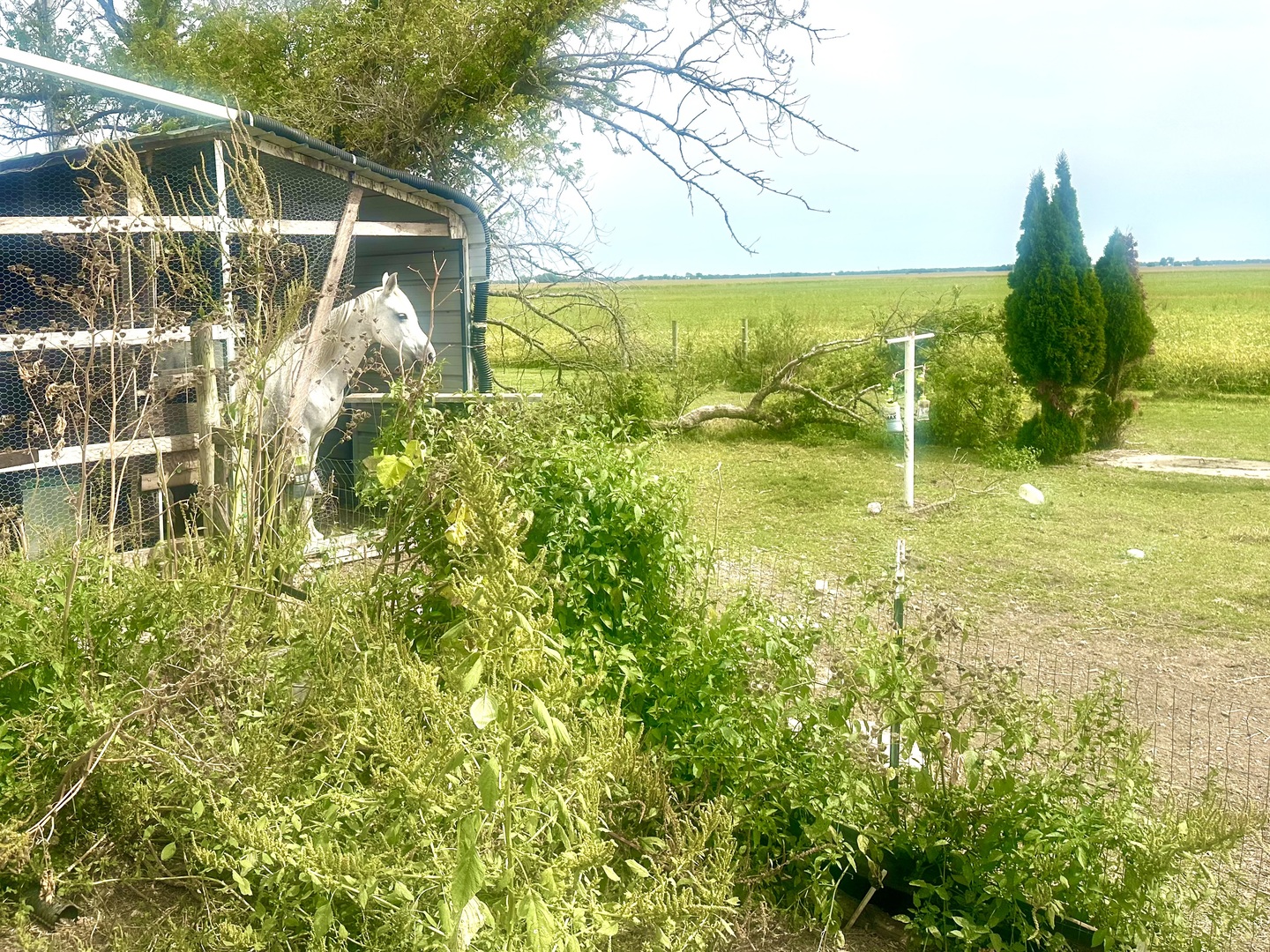 1258 East 2900 North Road Clifton, IL 60927 - Photo 32 of 38 a view of swimming pool