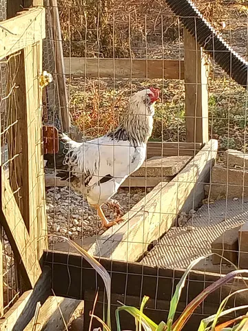 $302,000 | 1258 East 2900 North Road, Clifton, IL 60927