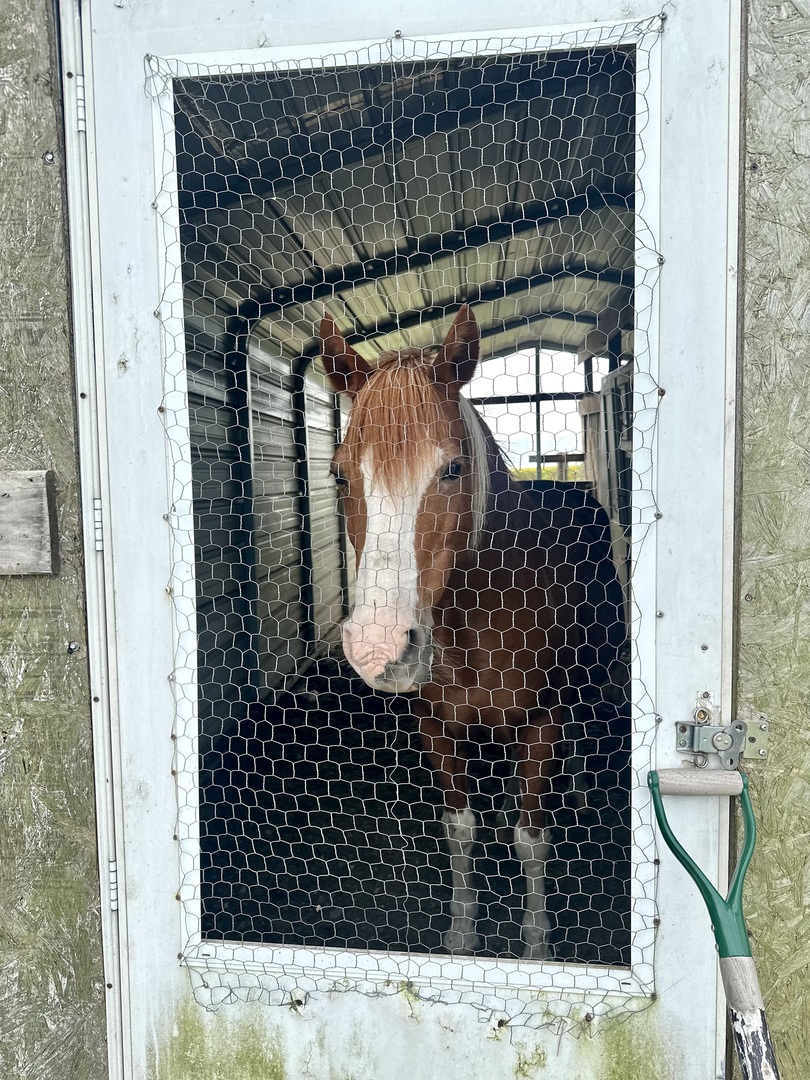 1258 East 2900 North Road Clifton, IL 60927 - Photo 37 of 38