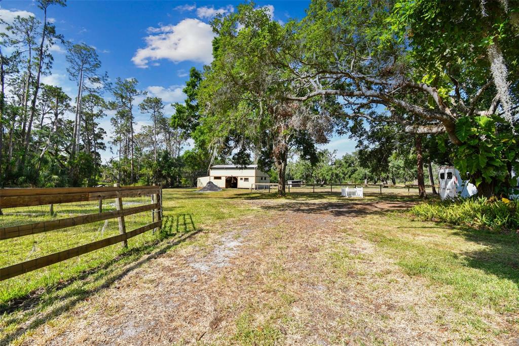 2853 Saffold Road Wimauma, FL 33598 - Photo 16 of 62 a view of park with large trees