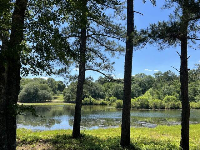 Na Fire Tower Road Aiken, SC 29803 - Photo 5 of 5