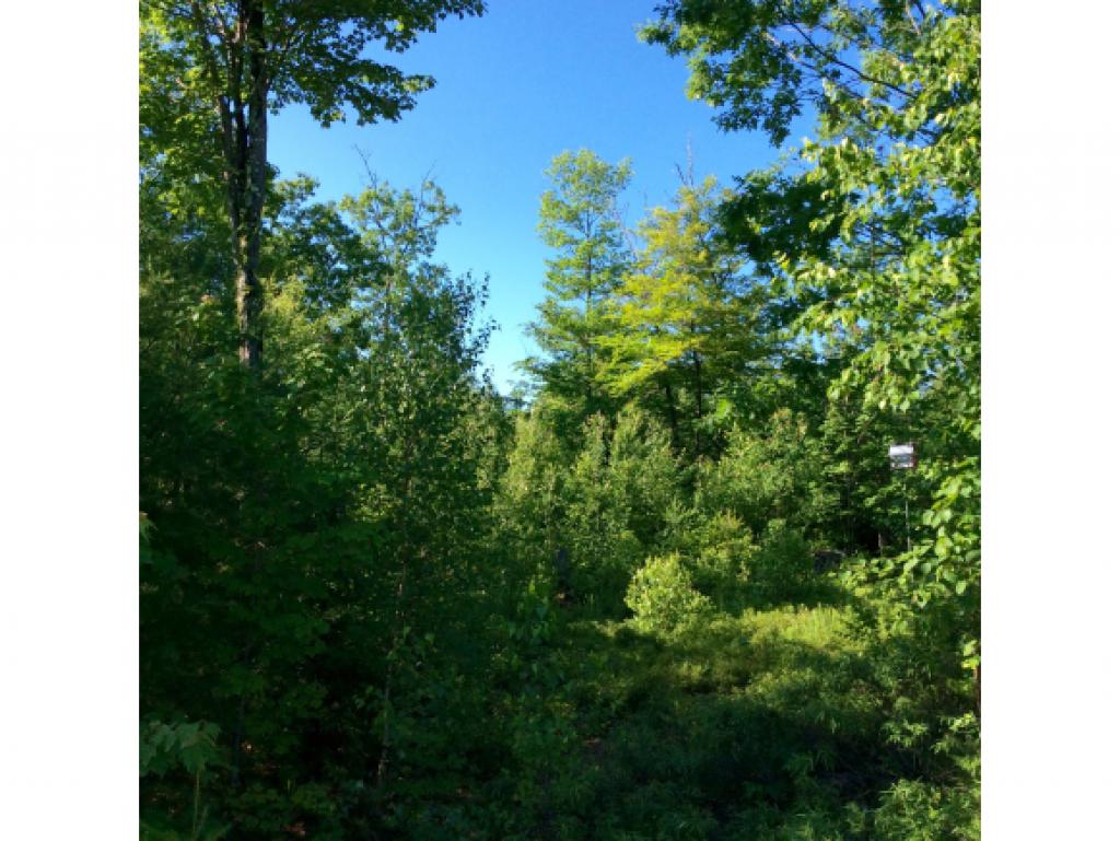 Lot 4 Sargent Road Center Conway, NH 03813 - Photo 5 of 14