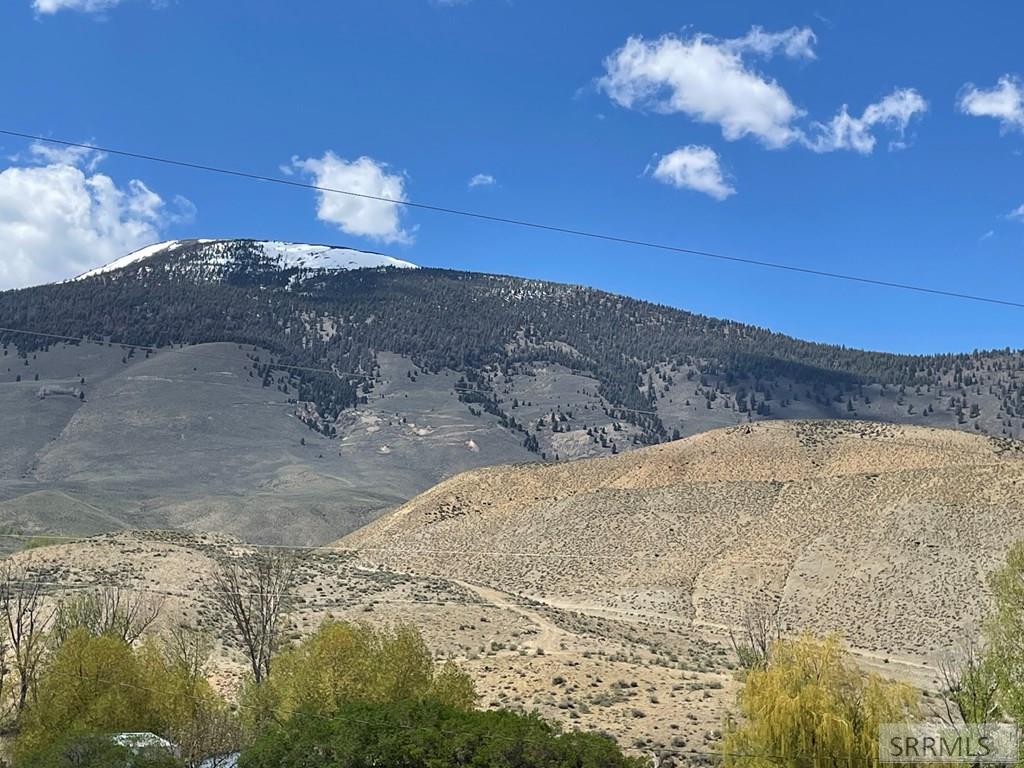 23496 State Highway 75 Challis, ID 83226 - Photo 38 of 44