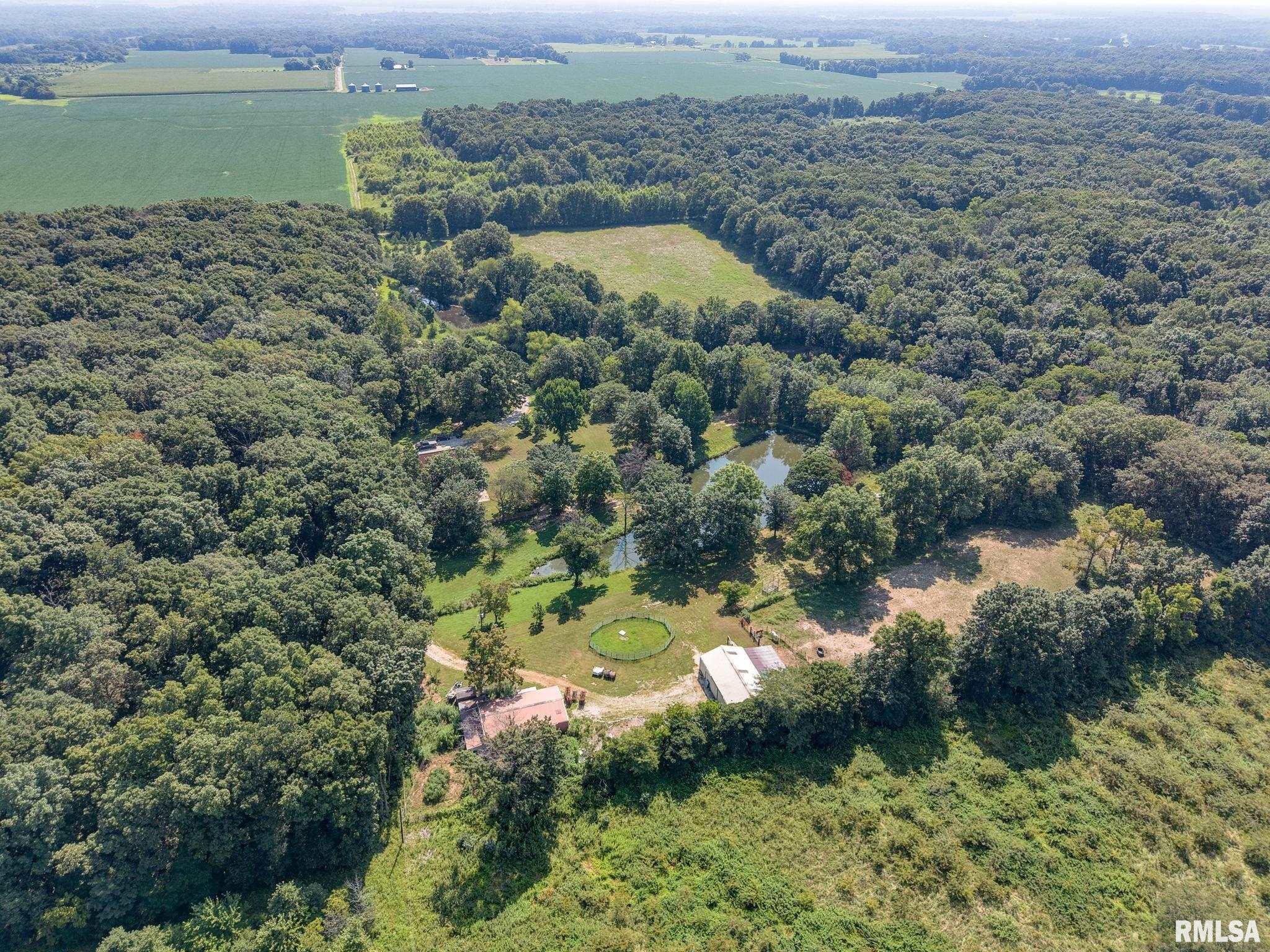3399 Heser Road Iuka, IL 62849 - Photo 54 of 70