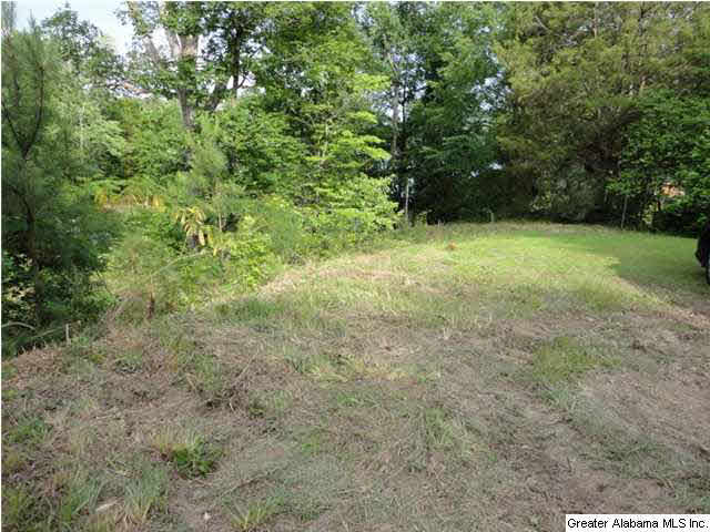 504 Journeys End Road, Unit 1 Ashville, AL 35953 - Photo 8 of 17
