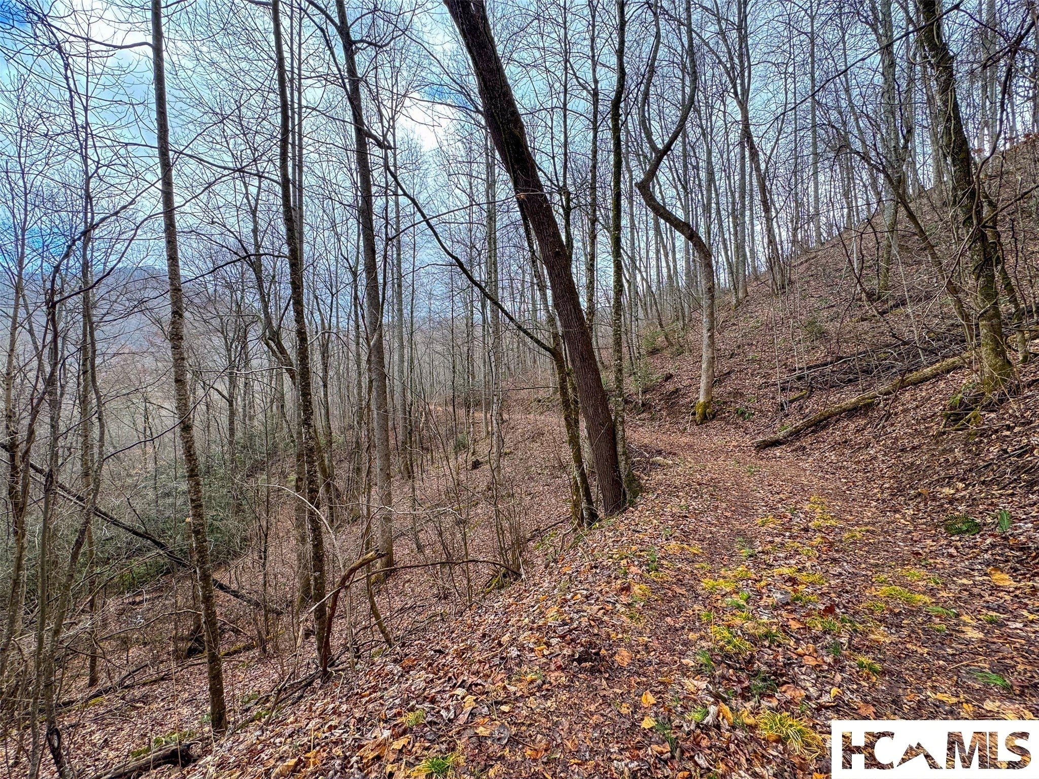 1241 Henry Road Franklin, NC 28734 - Photo 24 of 67 Gallery Image 24