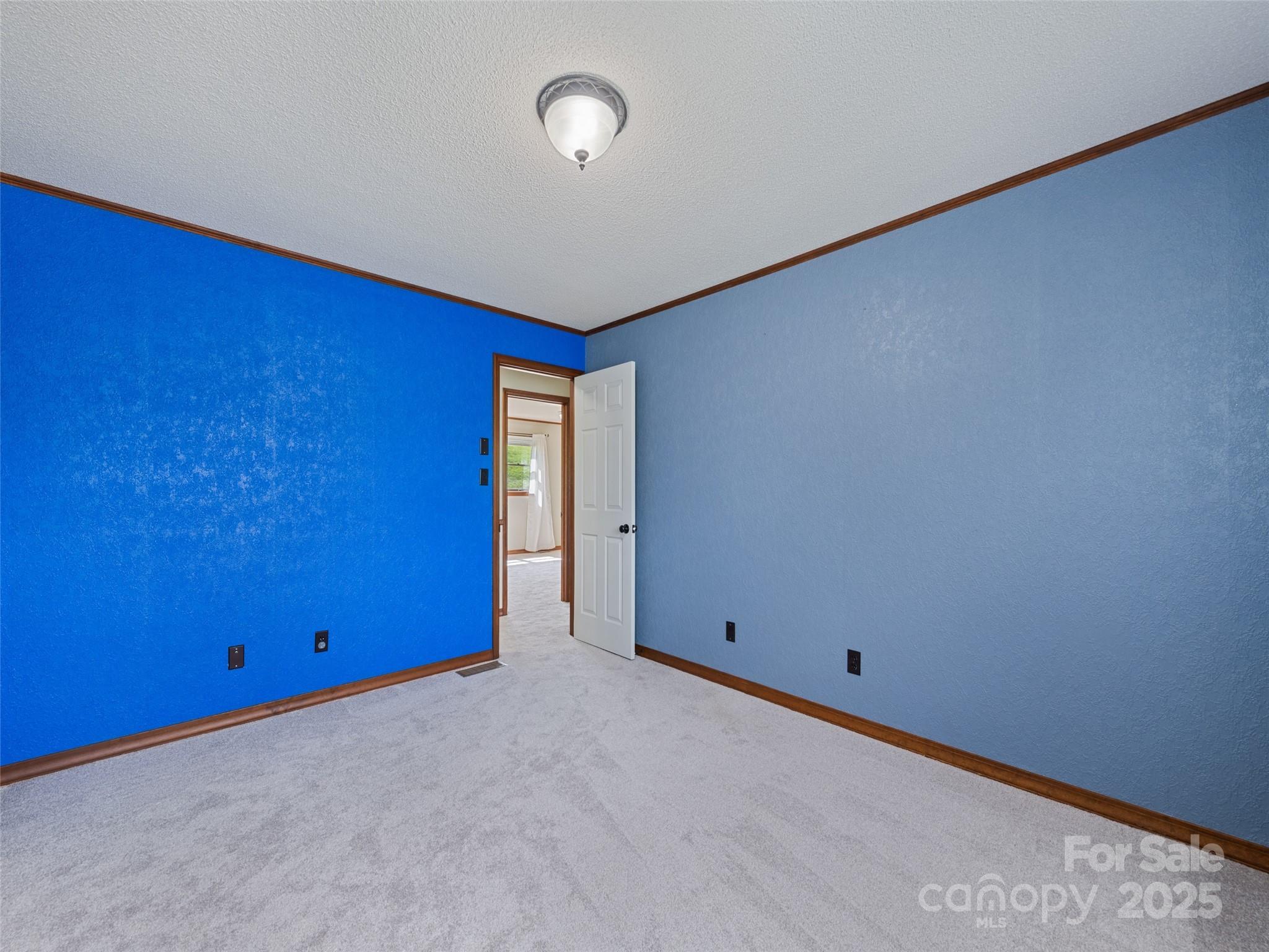415 Crawford Road Waynesville, NC 28785 - Photo 34 of 47