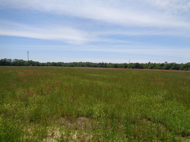 5.46 National Road Dothan, AL 36301 - Photo 1 of 8