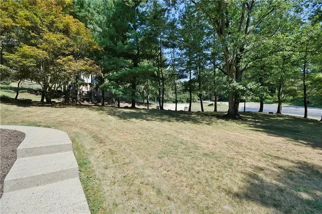 a view of park with tree