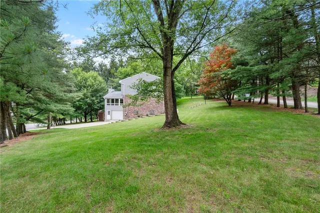 a view of a field with a tree