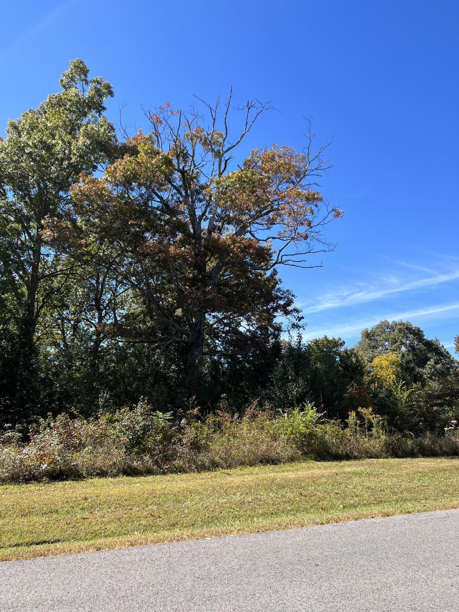 1012 Ridley Drive Crossville, TN 38572 - Photo 2 of 9 IMG_8966