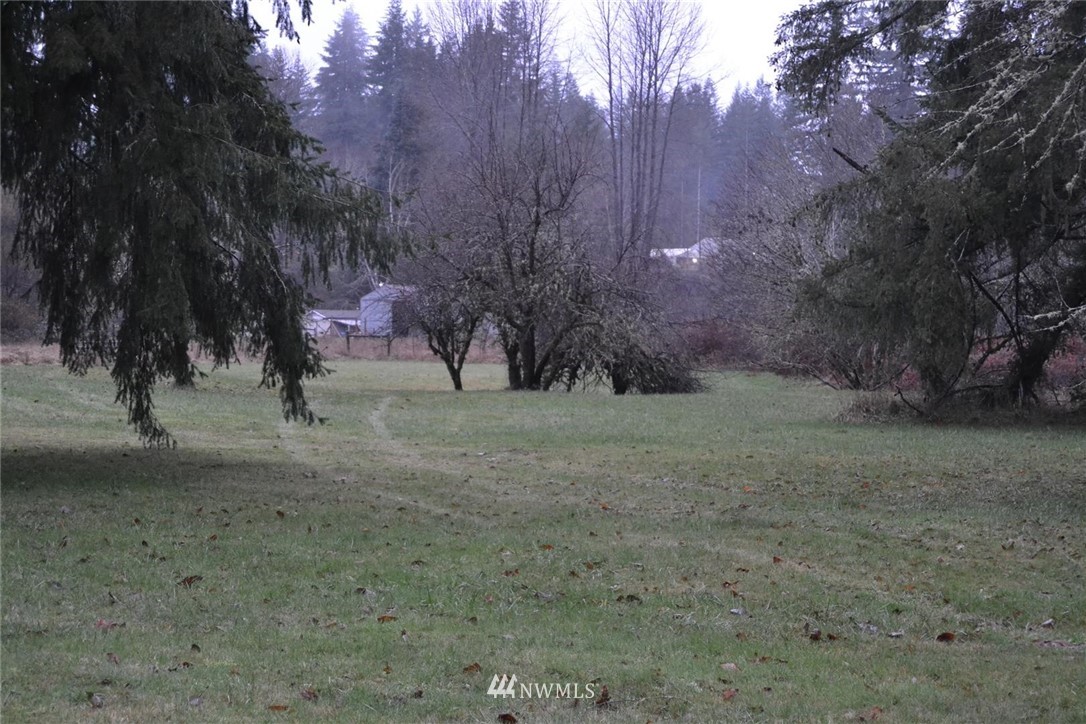 153-171 Chapman Road Morton, WA 98356 - Photo 23 of 39 Gallery Image 23