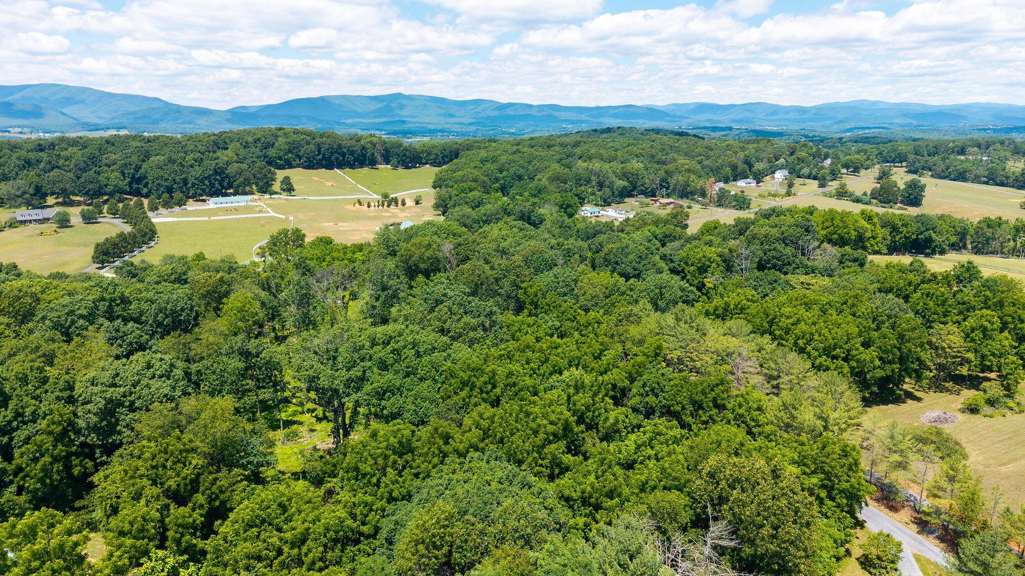 Mill Road Staunton, VA 24401 - Photo 19 of 29
