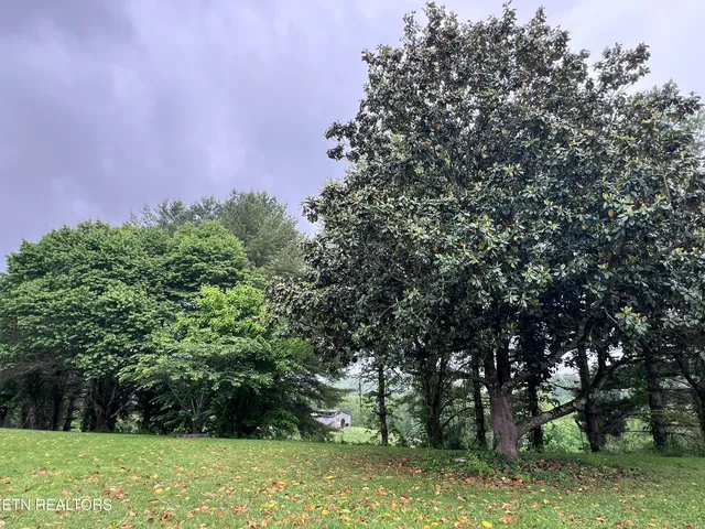 $510,000 | 391 Underwood Grove Road, Cumberland Gap, TN 37724