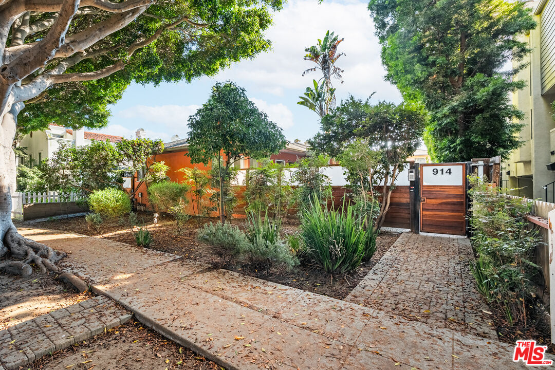 914 20th Street Santa Monica, CA 90403 - Photo 14 of 14 a view of a park with large trees