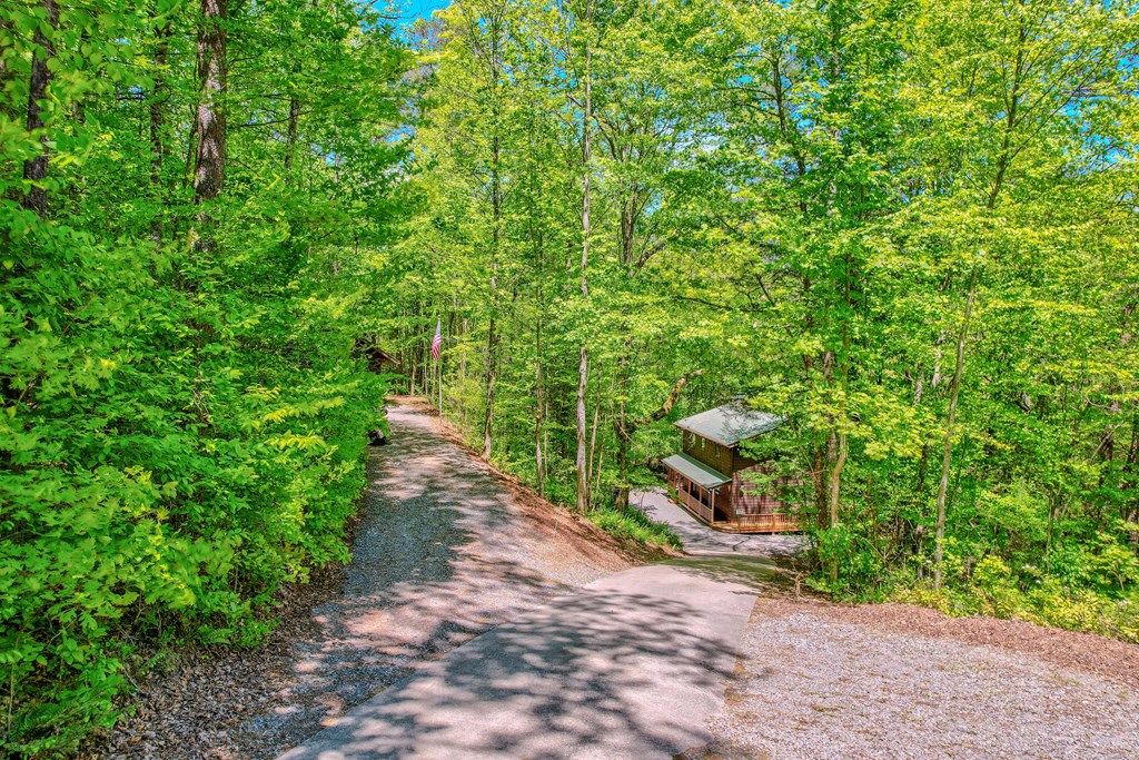 56 Hemlock Blue Ridge, GA 30513 - Photo 44 of 65 Gallery Image 44