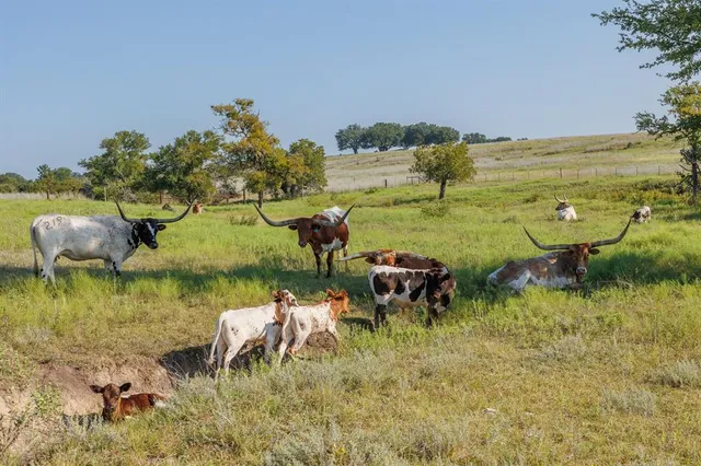 a view of a lake with a mountain in the back