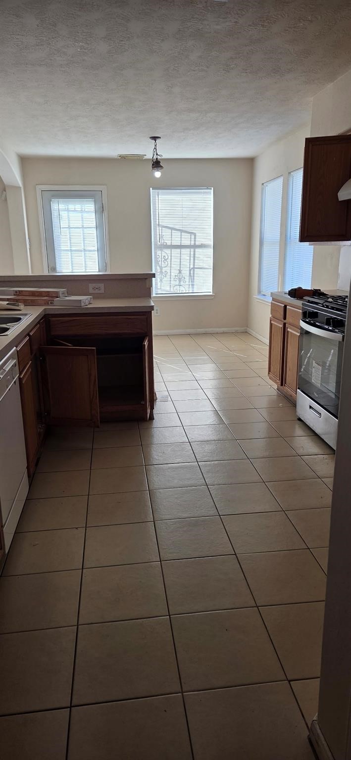 14127 Magnus Lane Houston, TX 77083 - Photo 9 of 16 a kitchen with a sink a counter space and a window