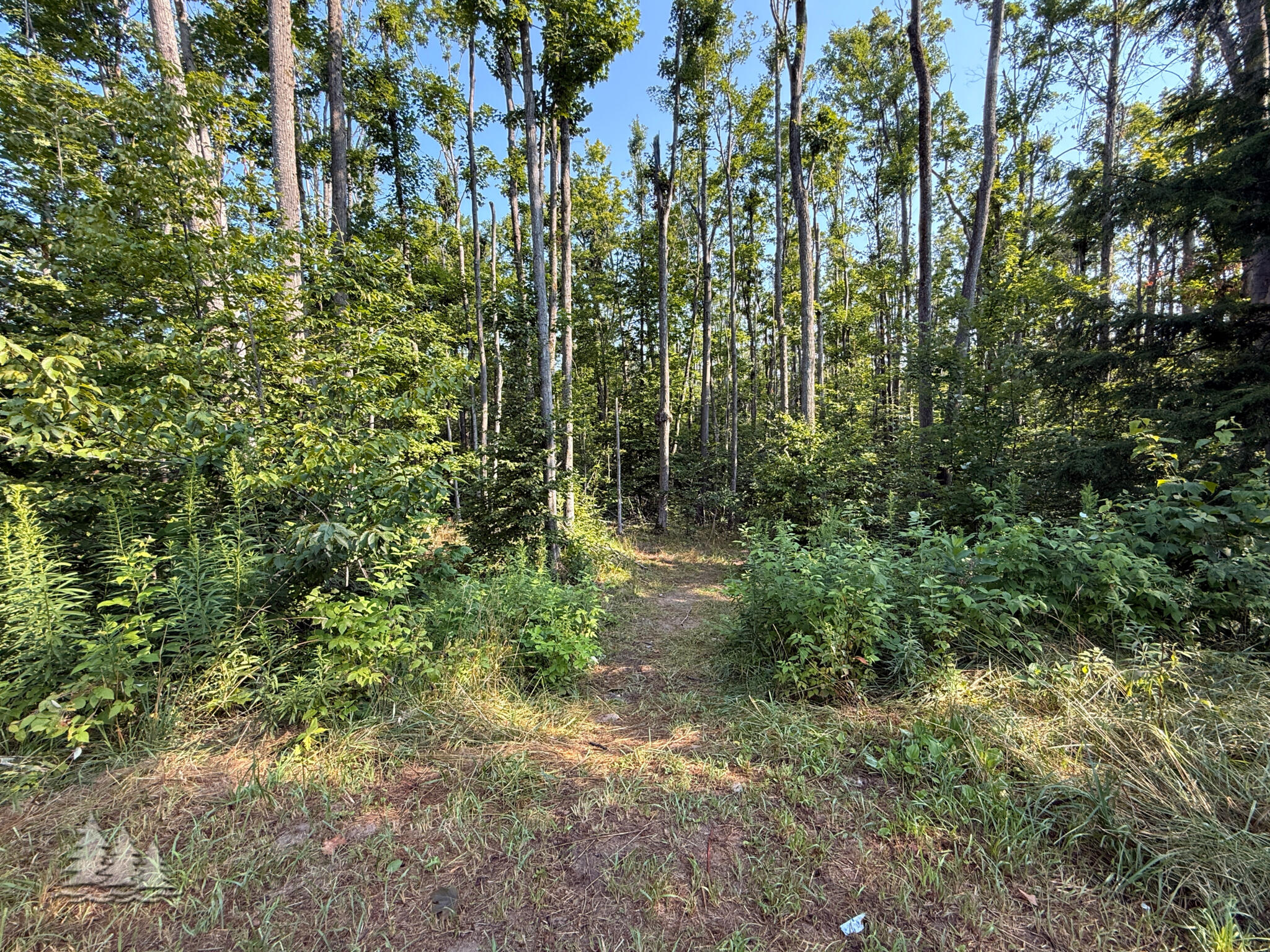 V/l Andergood Road Atlanta, MI 49709 - Photo 22 of 29 Gallery Image 22