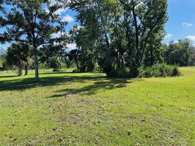 a view of outdoor space with trees all around