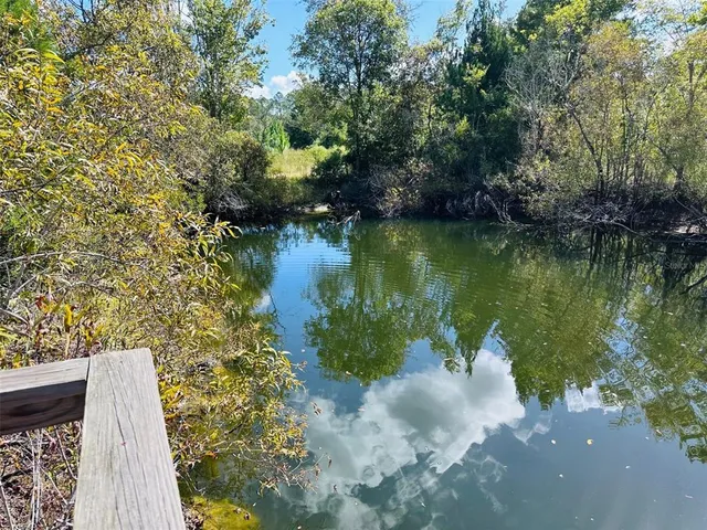 a view of a lake with a yard and large trees