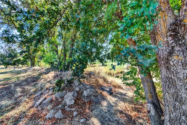 a view of a lake with houses in the background
