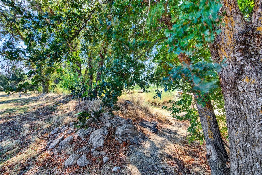 0 Toomes Corning, CA 96021 - Photo 11 of 20 a view of a yard with plants and trees