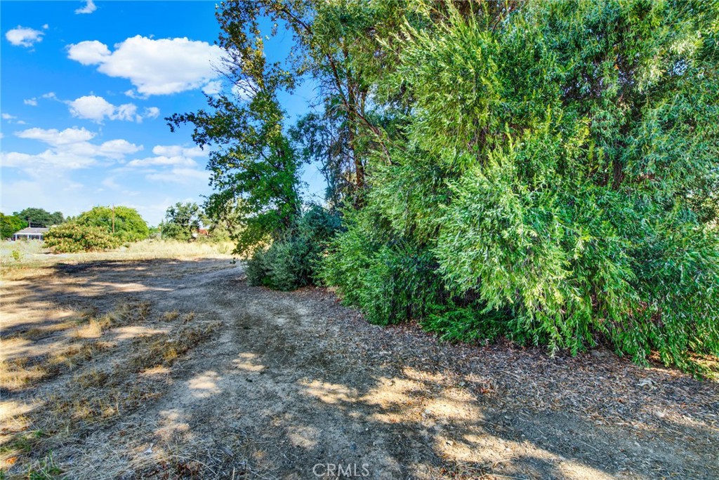 0 Toomes Corning, CA 96021 - Photo 19 of 20 a view of a yard with a tree