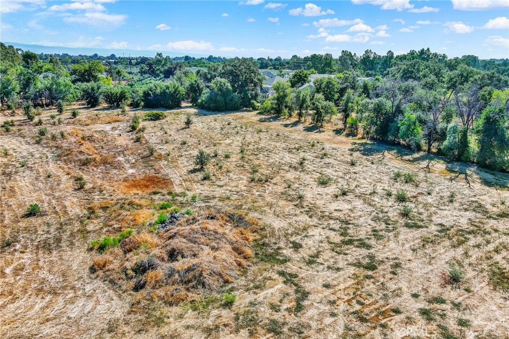 0 Toomes Corning, CA 96021 - Photo 6 of 20 a view of a yard with trees in the background