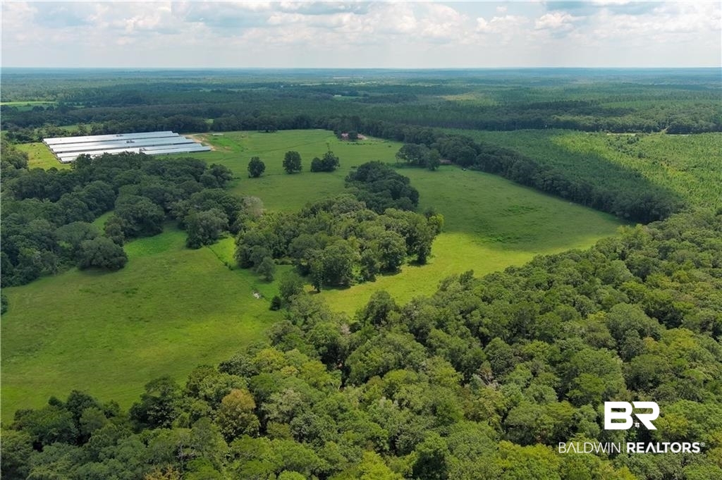 0 Circle R Farm Drive Florala, AL 36442 - Photo 4 of 25