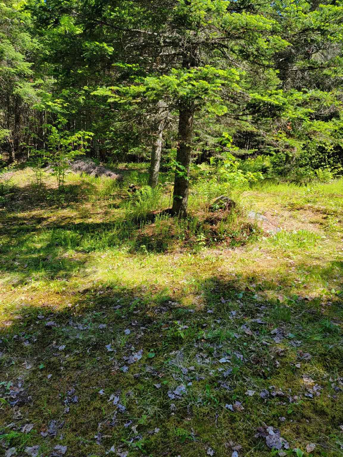 Mountain View Lane Colebrook, NH 03576 - Photo 3 of 6 Gallery Image 3