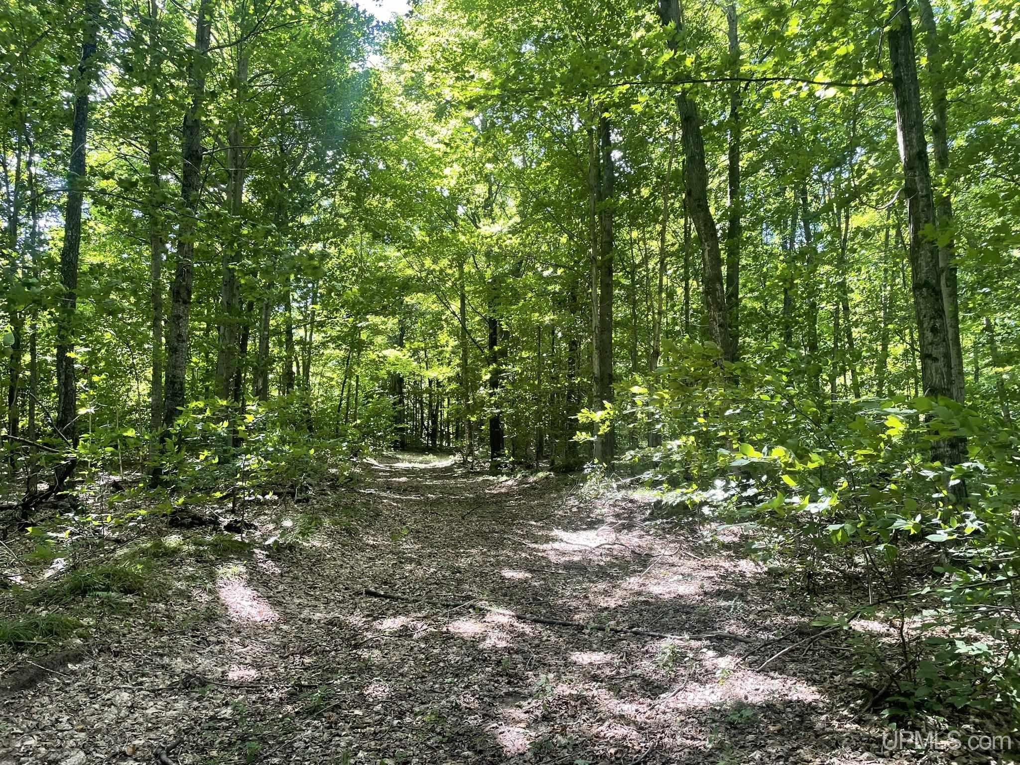 Tbd South Little Harbor Road Manistique, MI 49854 - Photo 21 of 35 Gallery Image 21