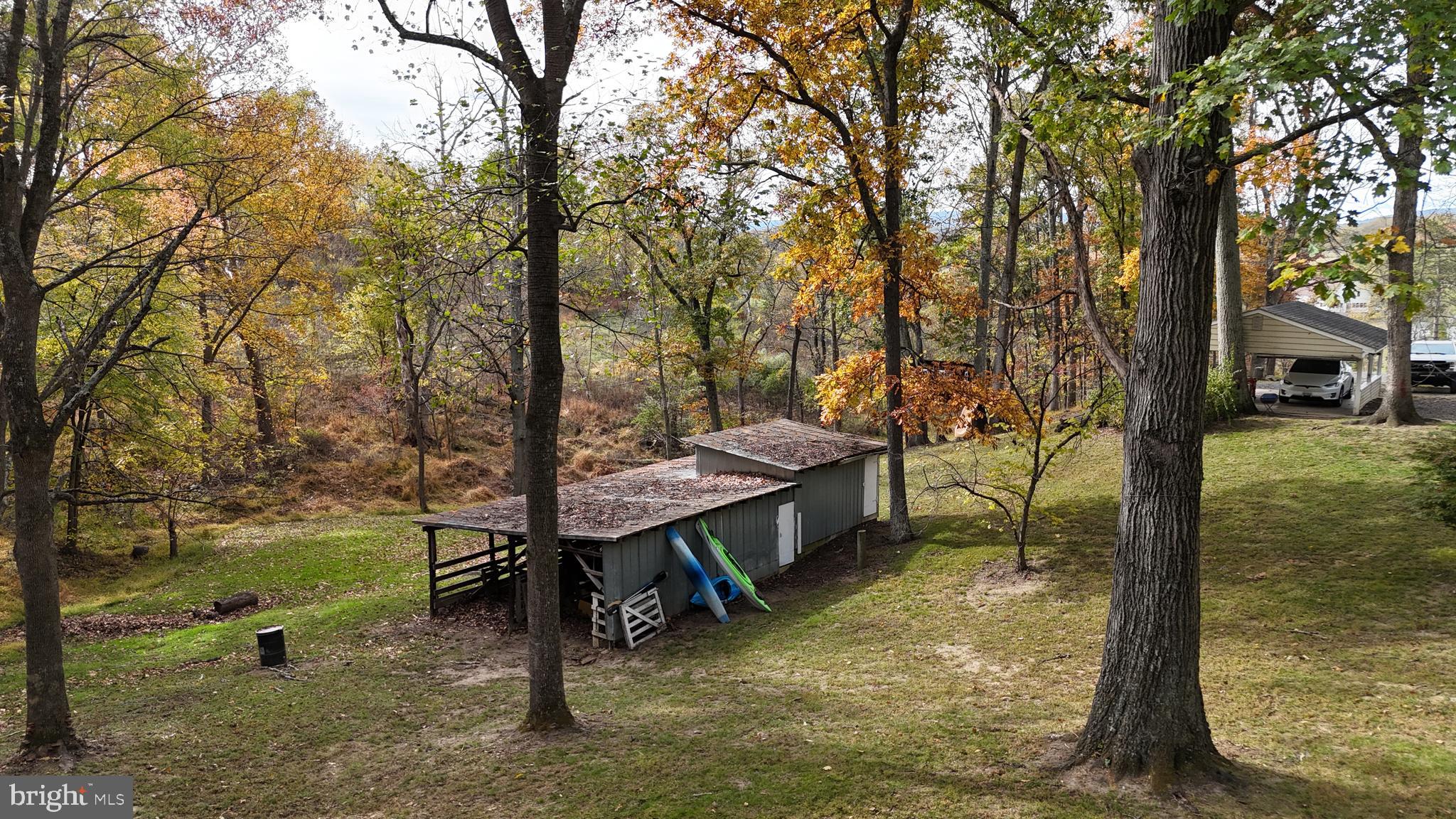 18758 Telegraph Springs Road Purcellville, VA 20132 - Photo 44 of 59 a view of backyard with trees