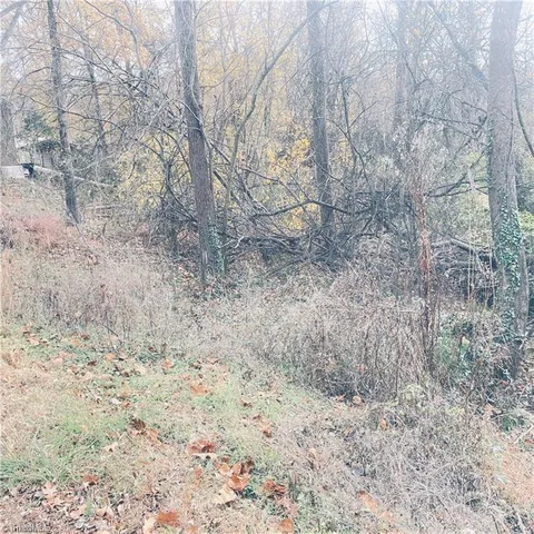 $8,500 | 0 1st Street, Eden, NC 27288