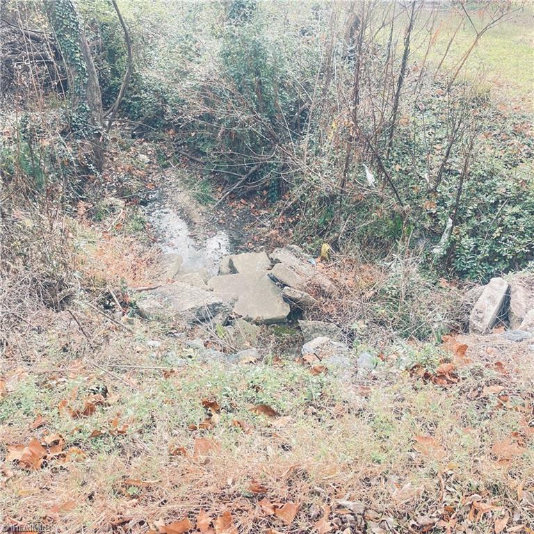 0 1st Street Eden, NC 27288 - Photo 3 of 5