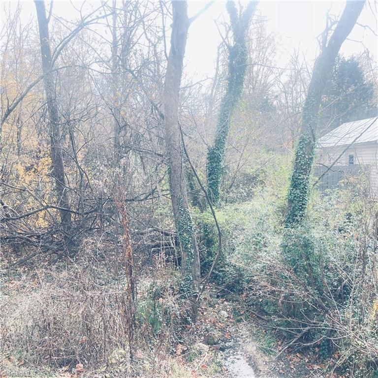 0 1st Street Eden, NC 27288 - Photo 5 of 5