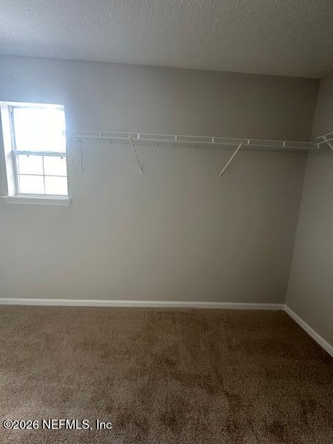 3790 Pondview Street Orange Park, FL 32065 - Photo 22 of 26 a room of a window