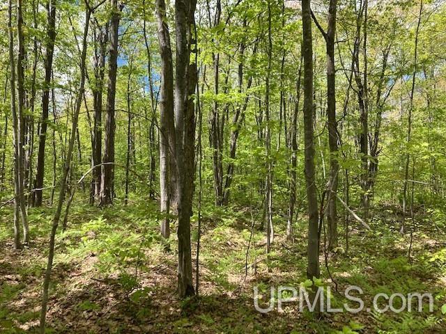 2 Boundary Road Chassell, MI 49916 - Photo 62 of 77