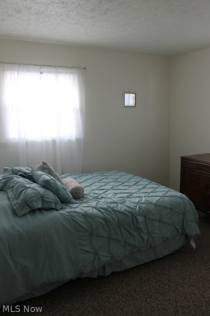 3402 South Raccoon Road Canfield, OH 44406 - Photo 9 of 19 Gallery Image 9