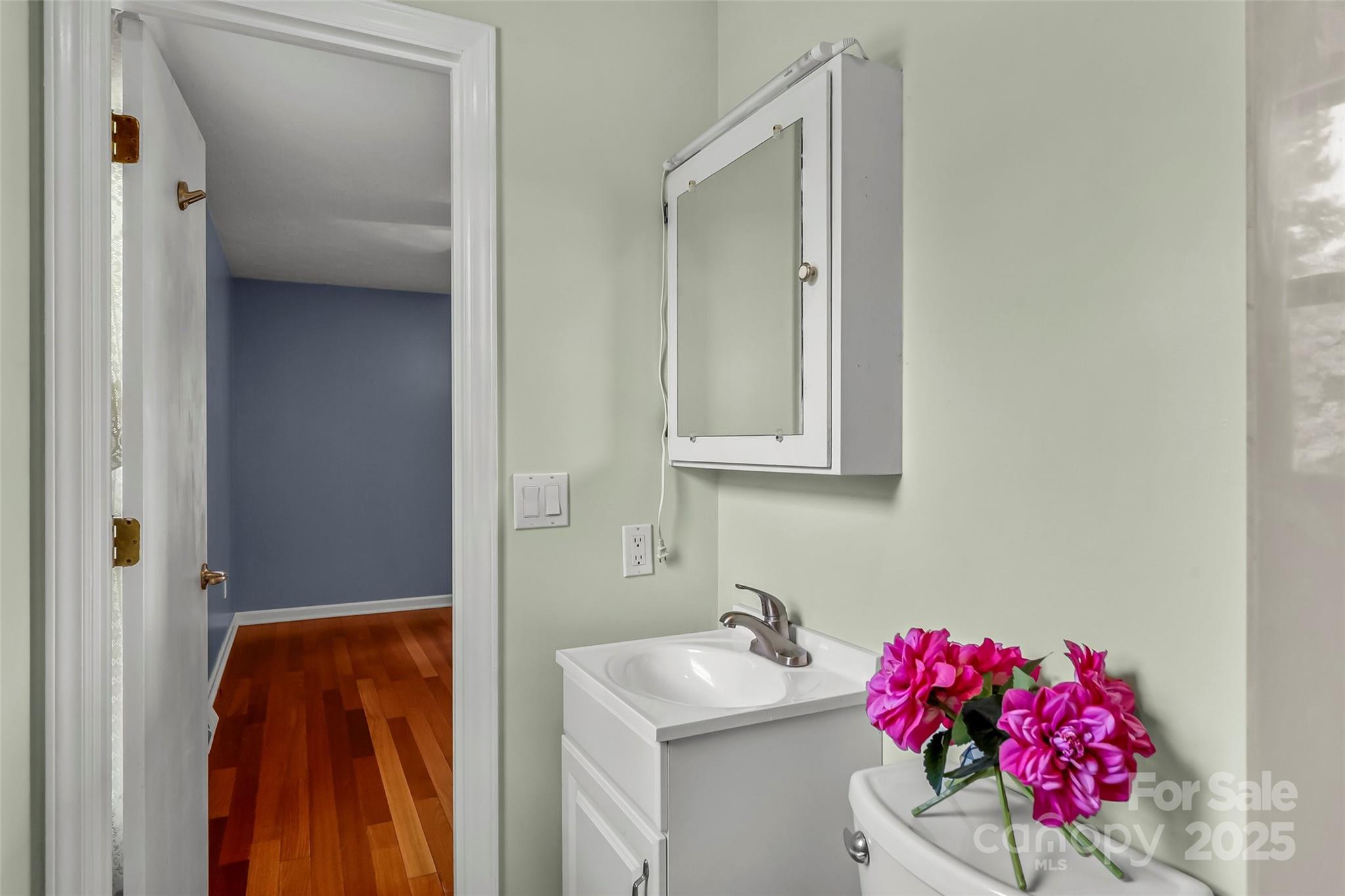 2423 Warrior Fork Trail Morganton, NC 28655 - Photo 19 of 42 a bathroom with a sink and a mirror