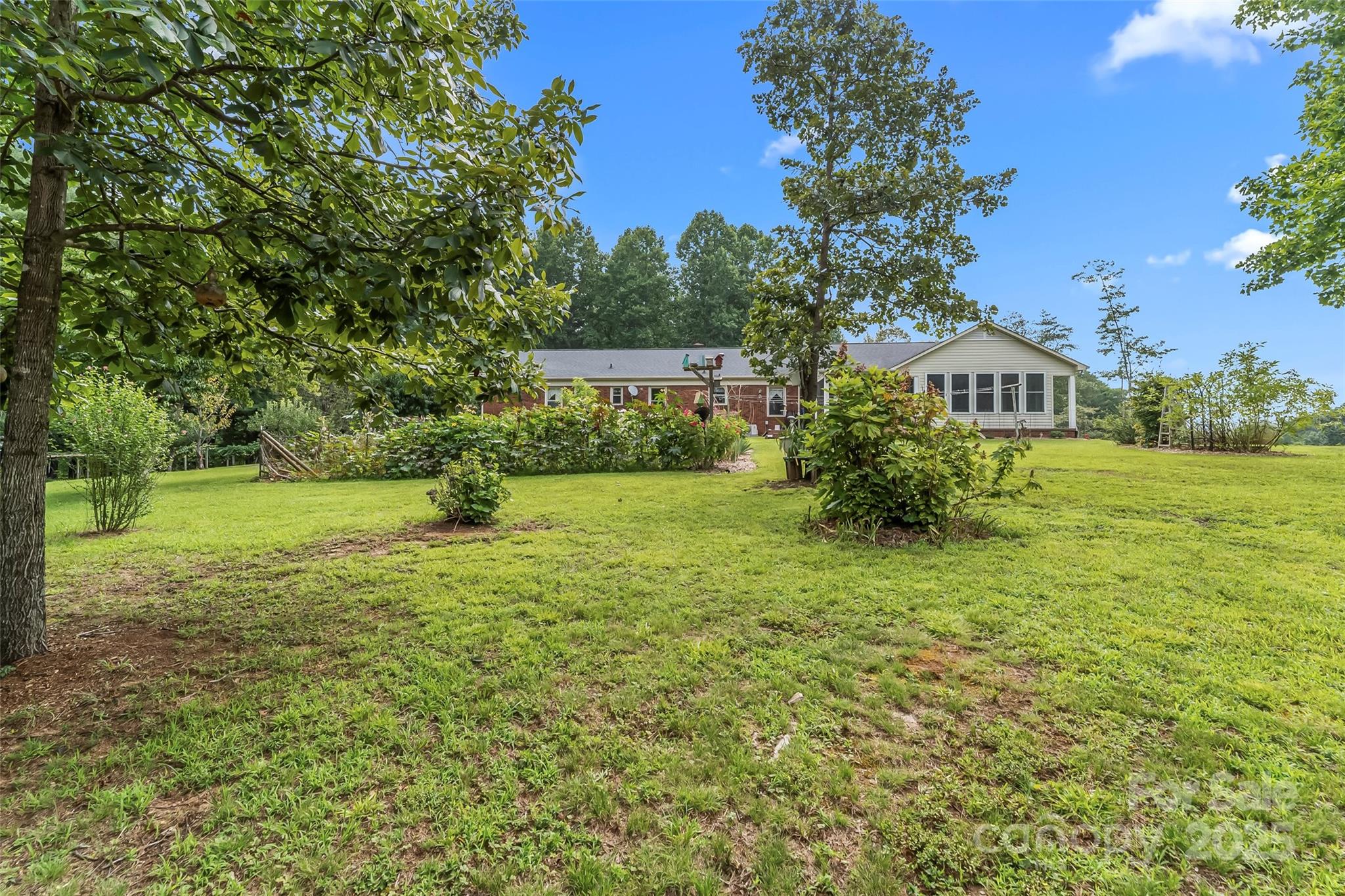 2423 Warrior Fork Trail Morganton, NC 28655 - Photo 34 of 42 a view of a big yard with plants and large trees