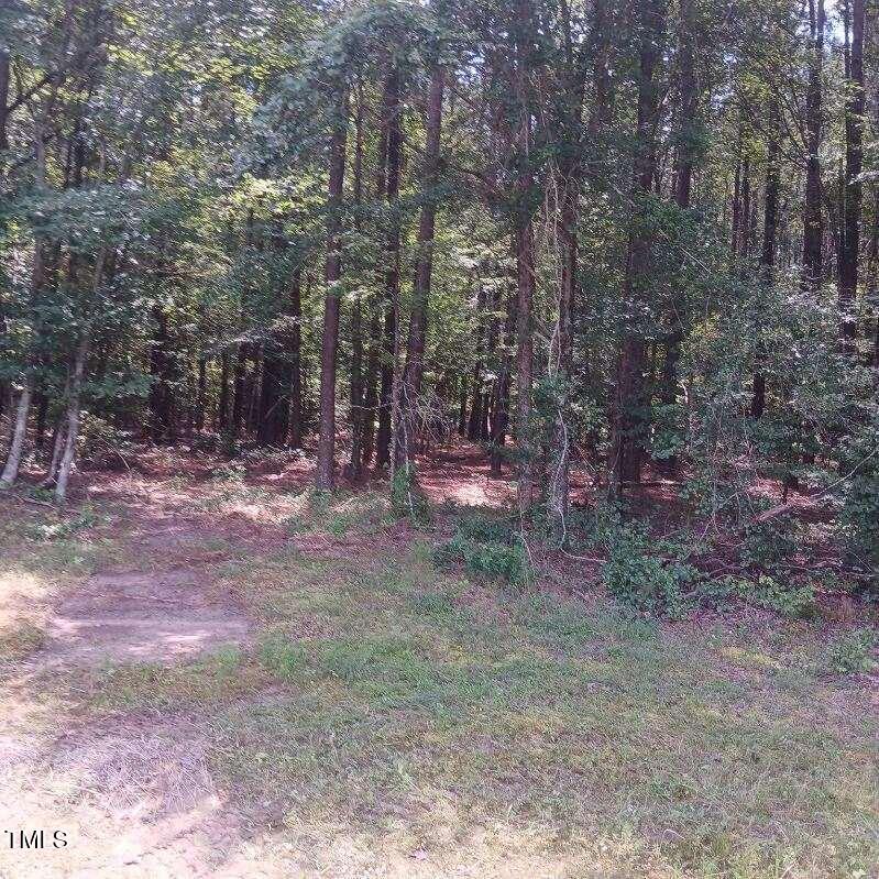 295 Covington Road Erwin, NC 28339 - Photo 2 of 10 a view of a forest with trees