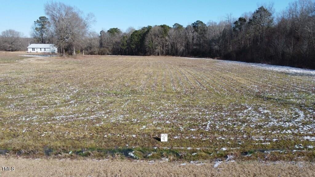 295 Covington Road Erwin, NC 28339 - Photo 7 of 10 a big yard with lots of green space