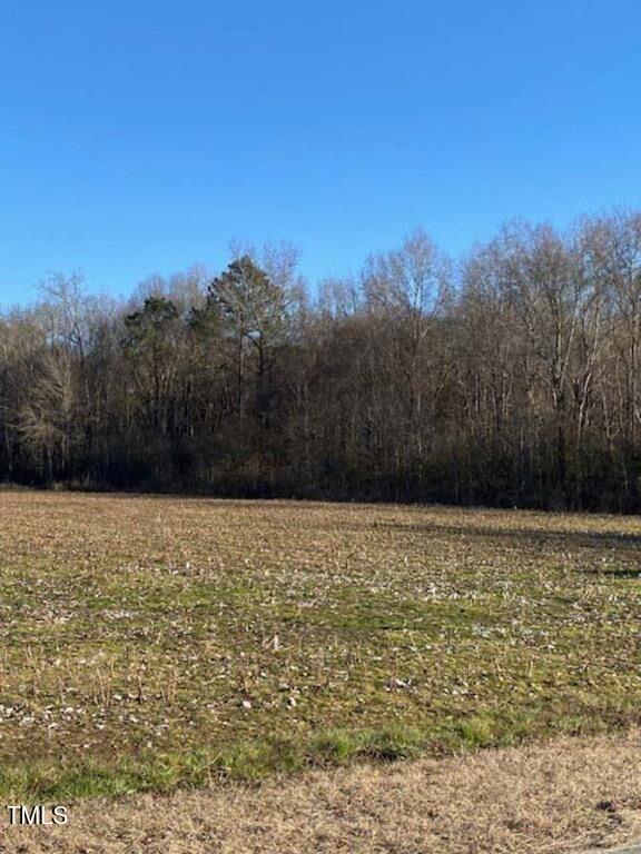 295 Covington Road Erwin, NC 28339 - Photo 10 of 10 a view of an ocean view