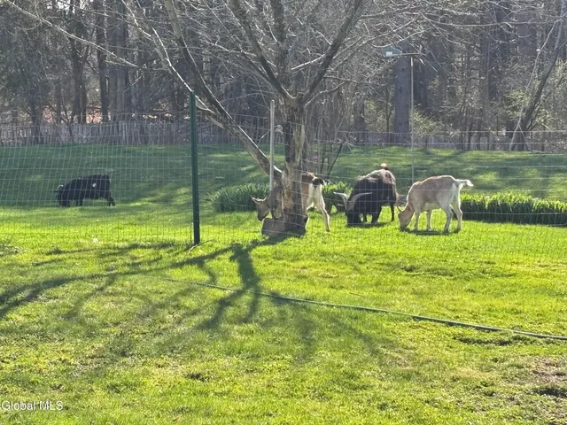 $365,000 | 13392 Duanesburg Road, Duanesburg, NY 12053