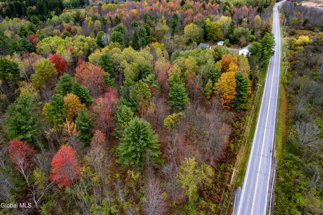 $365,000 | 13392 Duanesburg Road, Duanesburg, NY 12053