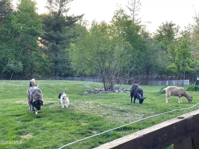 $365,000 | 13392 Duanesburg Road, Duanesburg, NY 12053