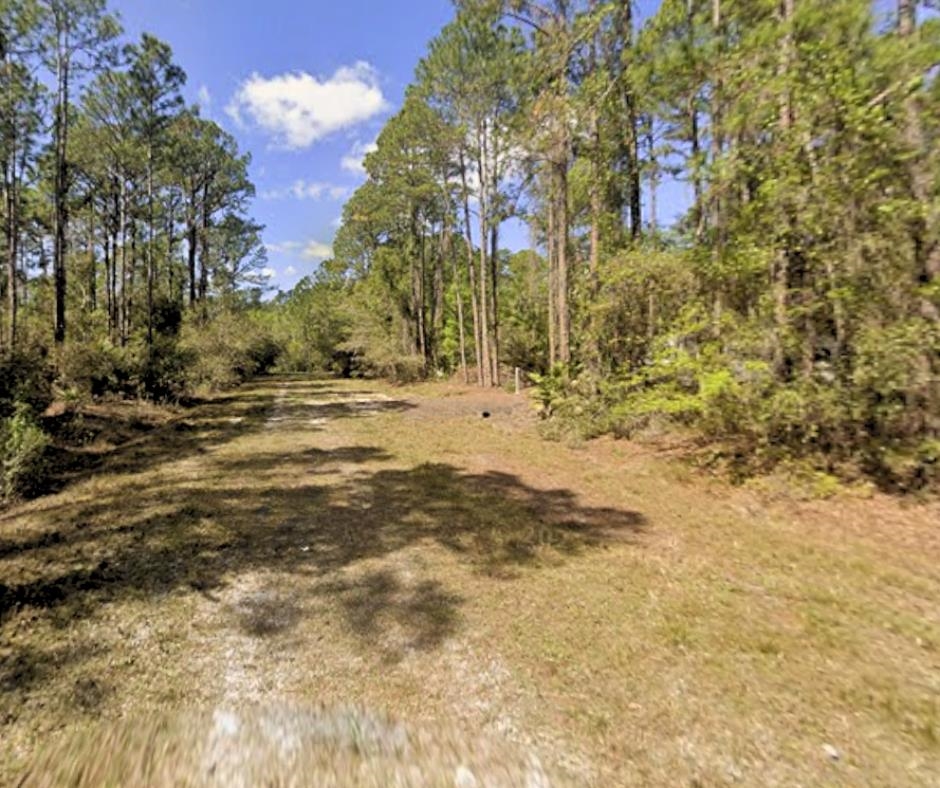104 Helen Avenue Georgetown, FL 32139 - Photo 3 of 5 a view of large trees with wooden fence
