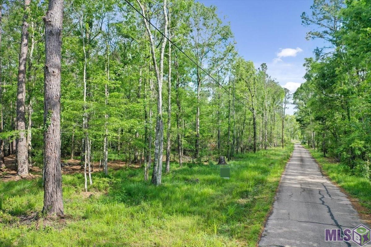 Lot C-4 Abernathy Road Springfield, LA 70462 - Photo 1 of 12 Gallery Image 1