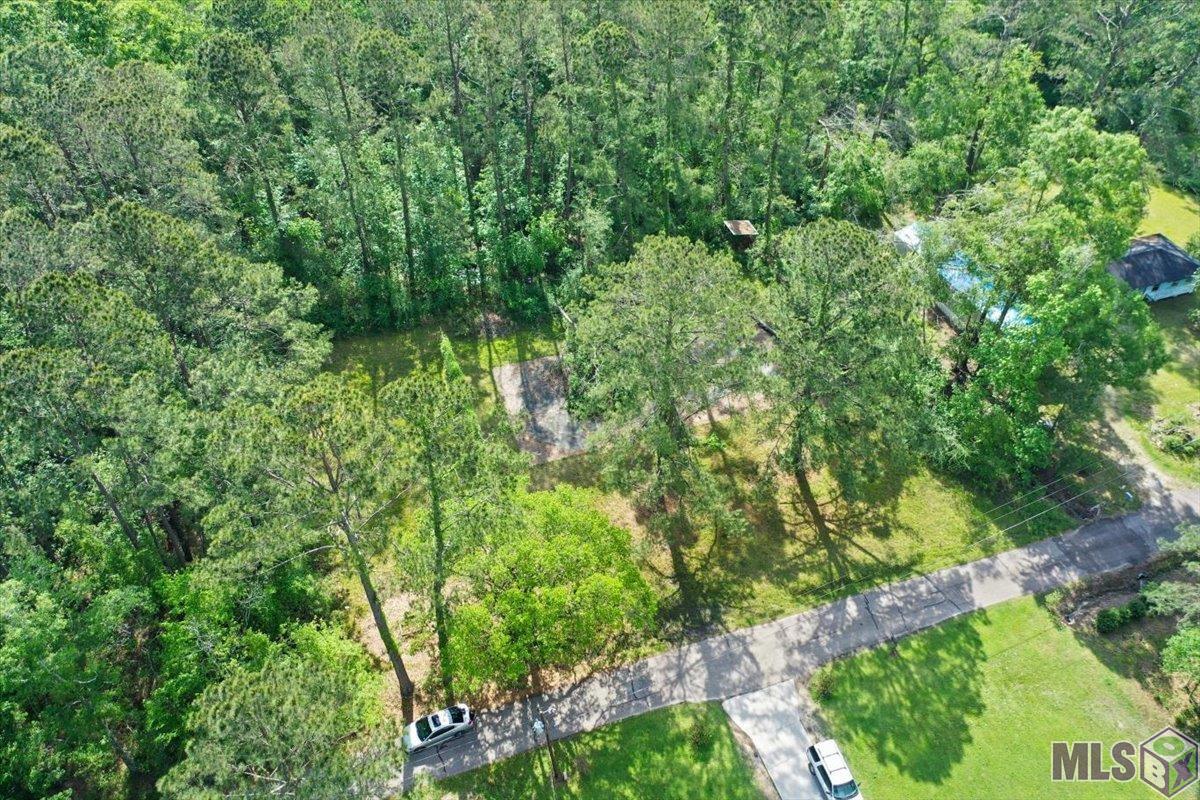 Lot C-4 Abernathy Road Springfield, LA 70462 - Photo 3 of 12 Gallery Image 3